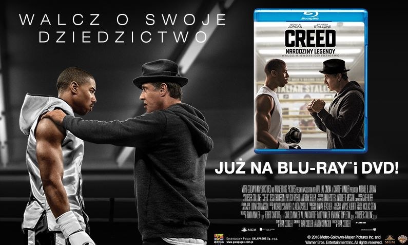 Dystrybutorem filmu "Creed: Narodziny legendy" na DVD i Blu-ray jest Galapagos Films /materiały dystrybutora