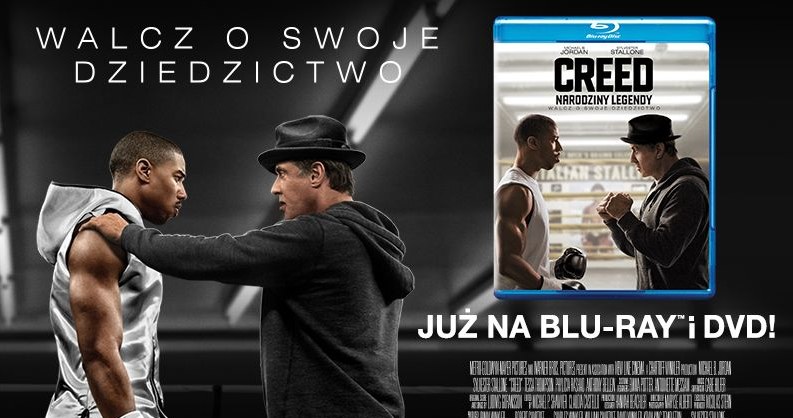 Dystrybutorem filmu "Creed: Narodziny legendy" na DVD i Blu-ray jest Galapagos Films /materiały dystrybutora