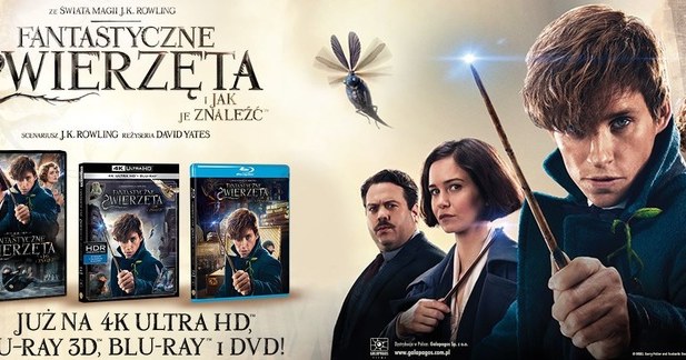 Dystrybutorem filmu 'Fantastyczne zwierzęra i jak je znaleźć" na płytach 4K Ultra HD Blu-ray, Blu-ray 3D, Blu-ray i DVD jest Galapagos Films /materiały dystrybutora