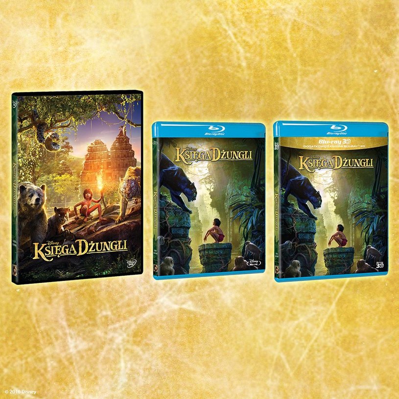 Dystrybutorem filmu "Księga dżungli" na płytach Blu-ray 3D, Blu-ray i DVD jest Galapagos Films /materiały dystrybutora