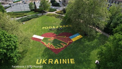 Dywan kwiatowy w centrum Poznania. Kompozycja składa się z ponad 150 tys. tulipanów