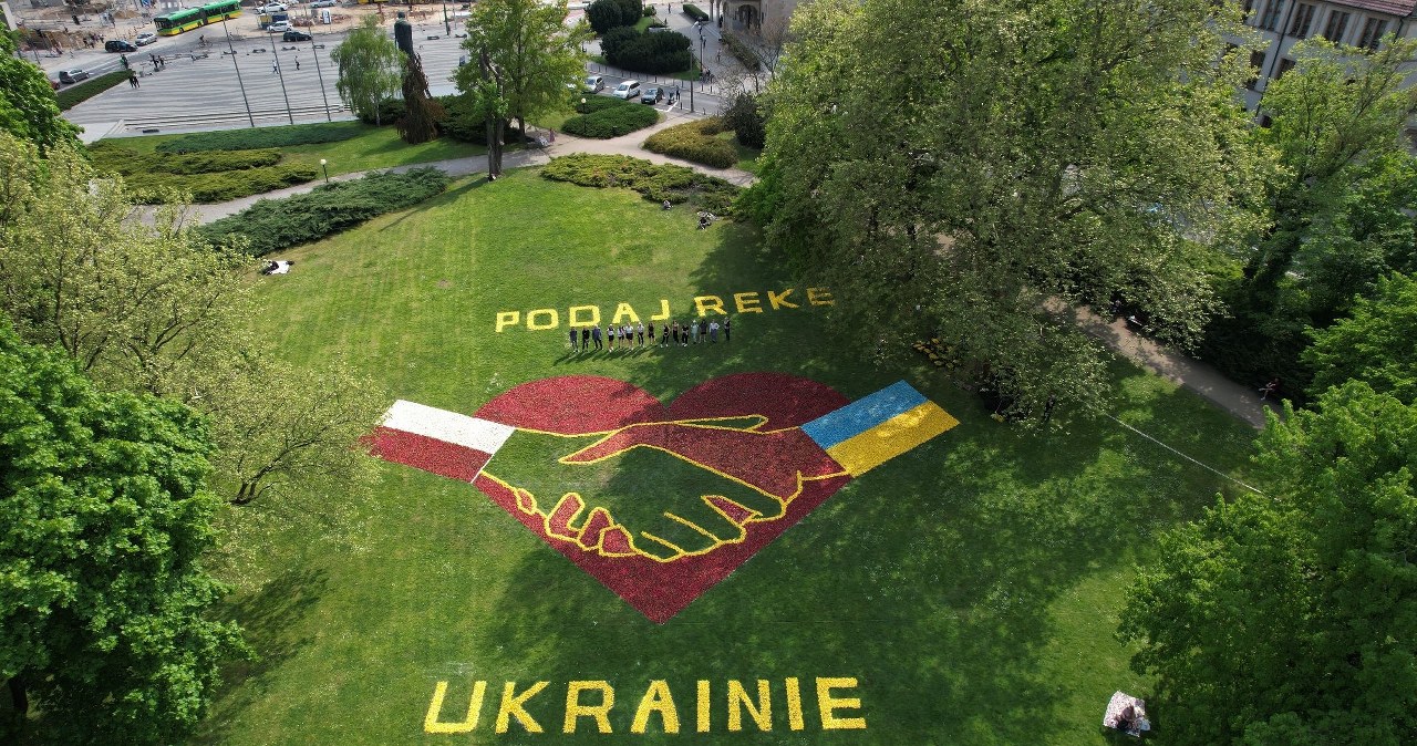 Dywan kwiatowy w centrum Poznania. Kompozycja składa się z ponad 150 tys. tulipanów
