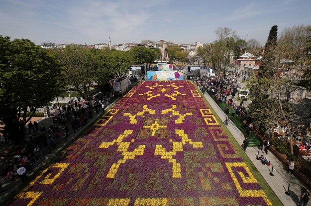 Dywan z tulipanów w Stambule, według władz - największy na świecie. /SEDAT SUNA /PAP/EPA