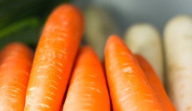 Dziadek pokazał mi, jak przechowywać marchew, żeby szybko nie więdła. Jest jak zerwana prosto z grządki