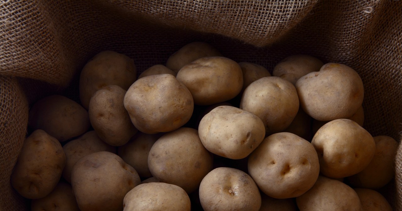 Dziadek powiedział mi, jak najlepiej przechowywać ziemniaki /paylessimages /123RF/PICSEL