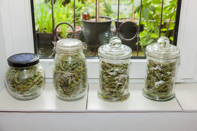 ​Działa lepiej niż apteczne syropy na kaszel. Mama i babcia robiły co roku