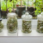 Działa lepiej niż apteczne syropy na kaszel. Mama i babcia robiły co roku