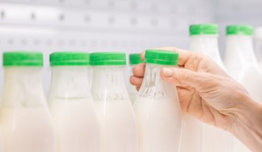 Działają jak kiszonki. Poprawiają trawienie, mogą przedłużać życie