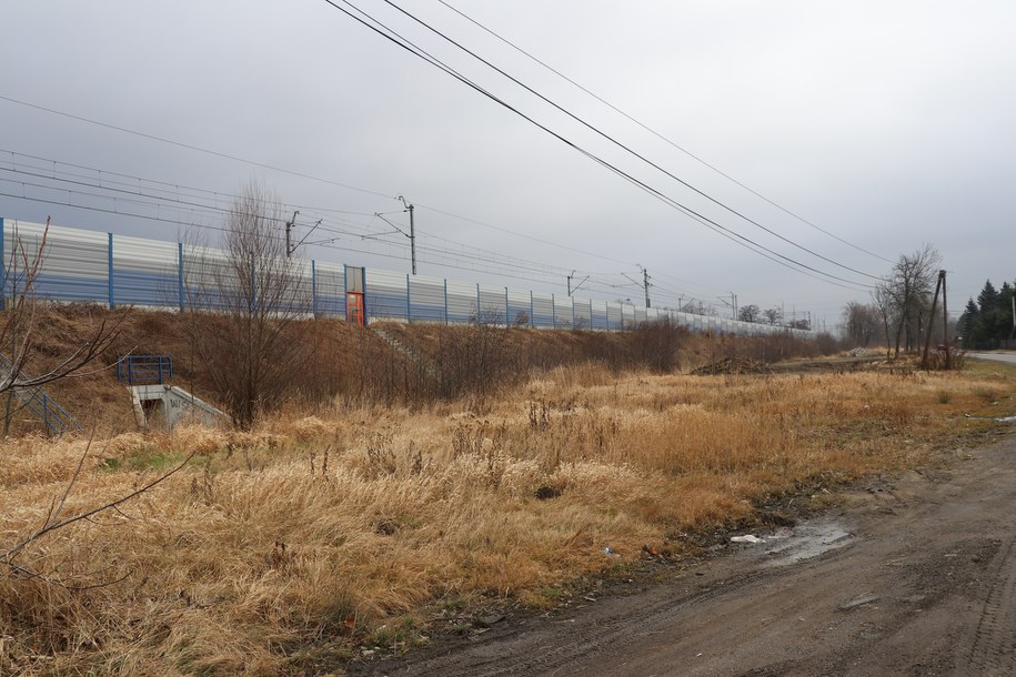 Działka, o którą toczy się spór /Jacek Skóra /RMF FM