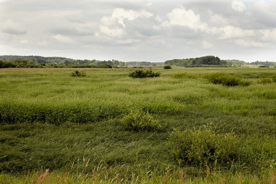 KOWR wzywa nabywcę do zwrotu działki pod CPK