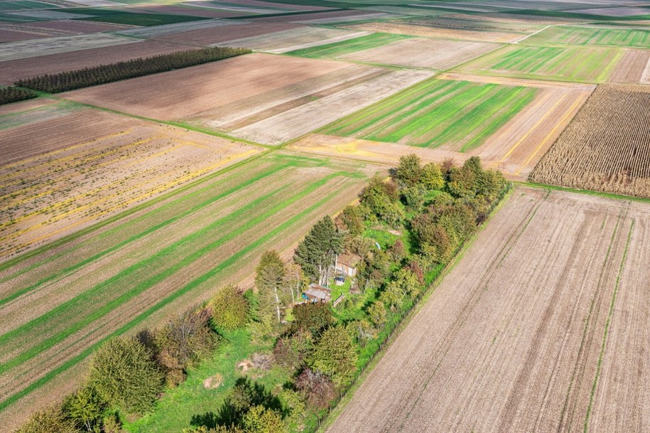 Działka została sprzedana biznesmenowi 1 grudnia 2023 roku (zdjęcie poglądowe) /Shutterstock