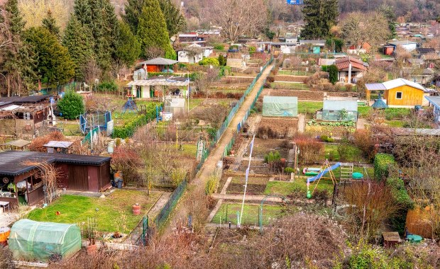 Działki ROD zostaną zlikwidowane? Jest apel do rządu 
