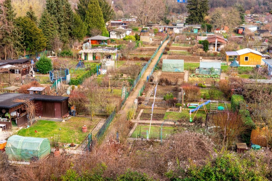 Działki w ogrodzie działkowym - zdj. poglądowe /Shutterstock