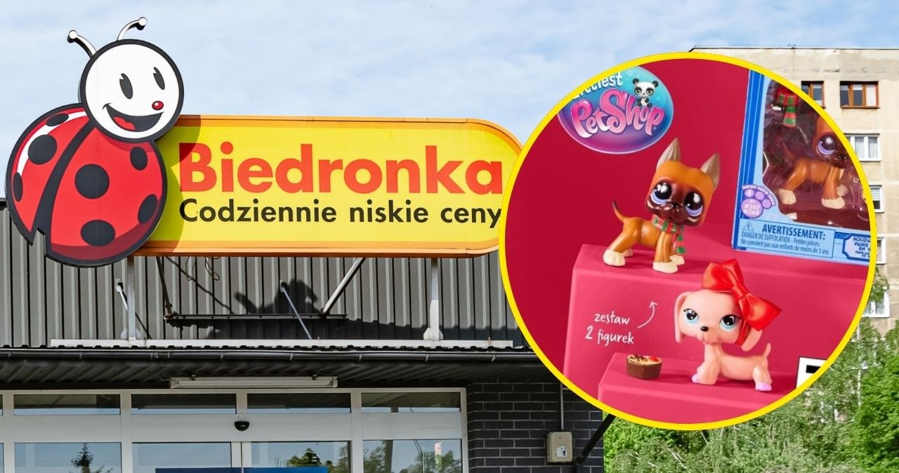 Dzieci je kochają, a teraz są w promocji! Kultowe figurki Littlest Pet Shop za grosze w Biedronce! /Biedronka /INTERIA.PL