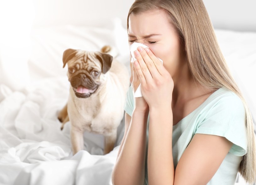 Dzieci, które od pierwszych lat mają kontakt z psem, mogą być mniej zagrożone ryzykiem astmy /123RF/PICSEL