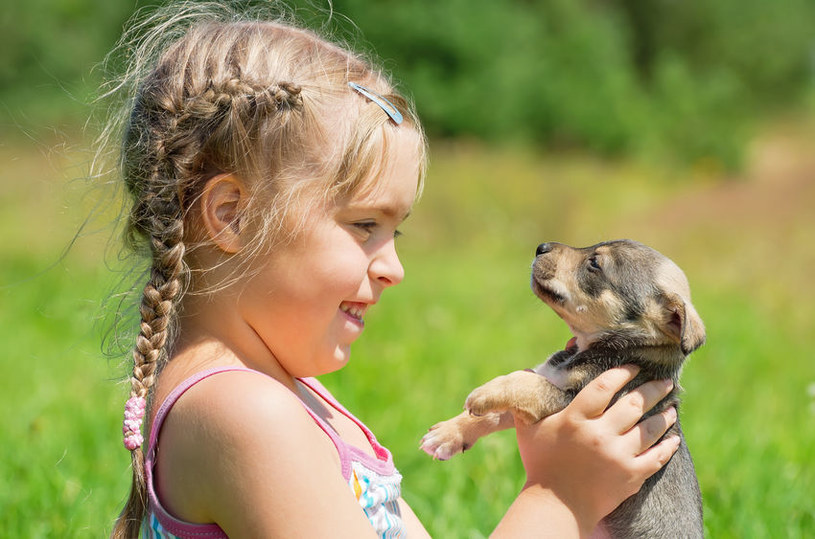 Dzieci lubią małe zwierzęta /123RF/PICSEL