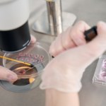 Dolina Krzemowa Zagłębie komputerowe w Kalifornii