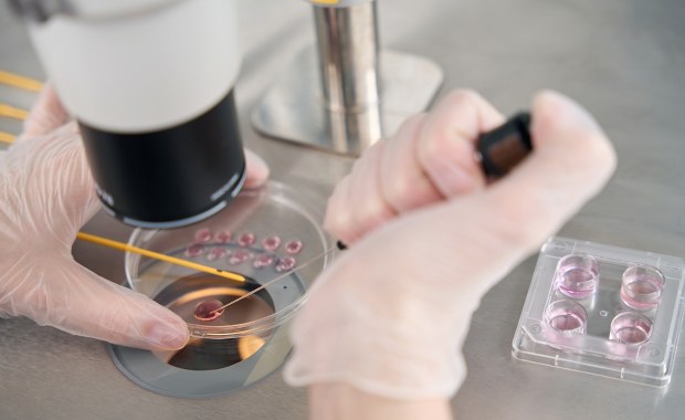 Dzieci na zamówienie? Rodzice płacą fortunę za "inteligentne" embriony