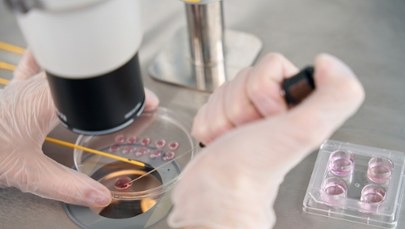 Dzieci na zamówienie? Rodzice płacą fortunę za "inteligentne" embriony