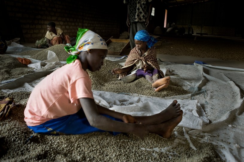 Dzieci pracujące w Demokratycznej Republice Konga. /Lukasz Sokol / Forum /Agencja FORUM