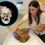 tomografia komputerowa Dzieci uderzone w głowę i złożone w ofierze. Makabryczny rytuał Inków