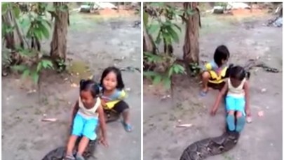 Dzieci ujeżdżają pytona, który mógłby je połknąć w całości. Szokujące nagranie