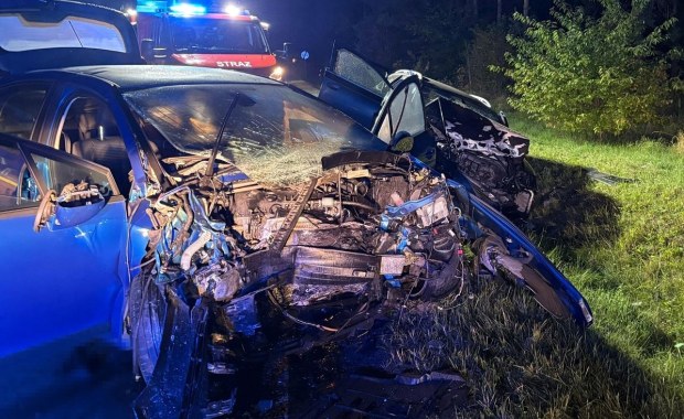 Dzieci wśród ciężko rannych po wypadku na prostej drodze