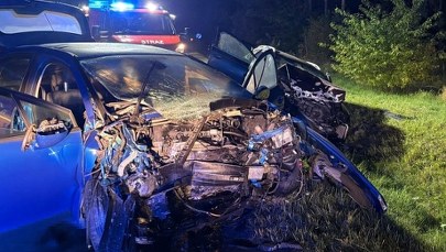 Dzieci wśród ciężko rannych po wypadku na prostej drodze