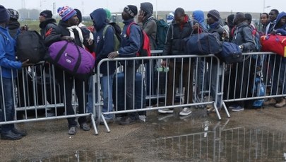 Dzieci z obozowiska z Calais dotarły do Londynu. Trwa likwidacja "nowej dżungli"