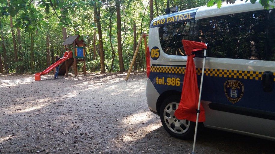 Dzieci znalazły boa dusiciela w pobliżu tego placu zabaw /Straż Miejska Poznań /Straż Miejska