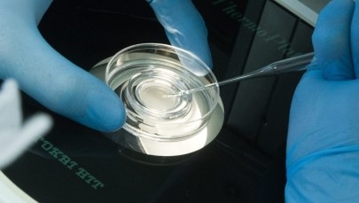 ​Dziecko przyszło na świat cztery lata po śmierci swoich rodziców