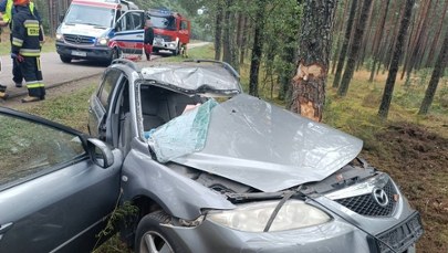 Dziecko wśród rannych, zakleszczony kierowca. Dramat na Pomorzu