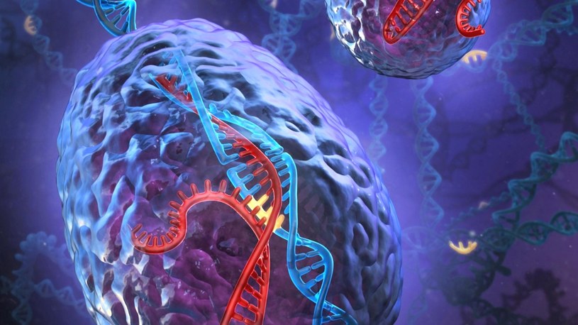 Dzięki CRISPR prześledzimy rozwój każdej komórki i udoskonalimy swoje ciała /Geekweek