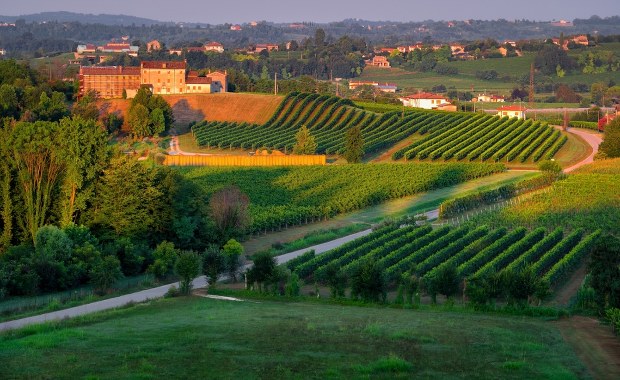 Dzięki mieszkańcom, głównie kobietom, burmistrz schudł 25 kg