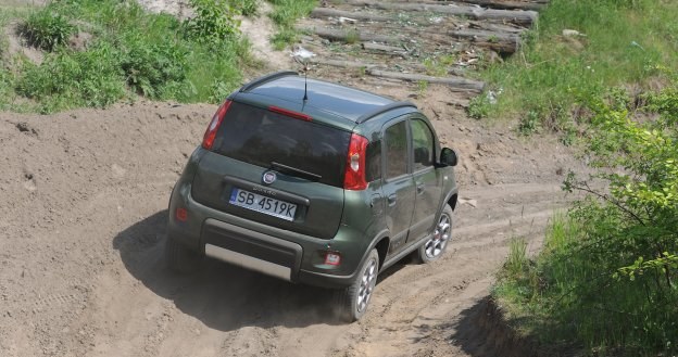 Dzięki niedużej masie (ok. 1 t) Panda 4x4 zupełnie nie boi się piaszczystego terenu. /Motor