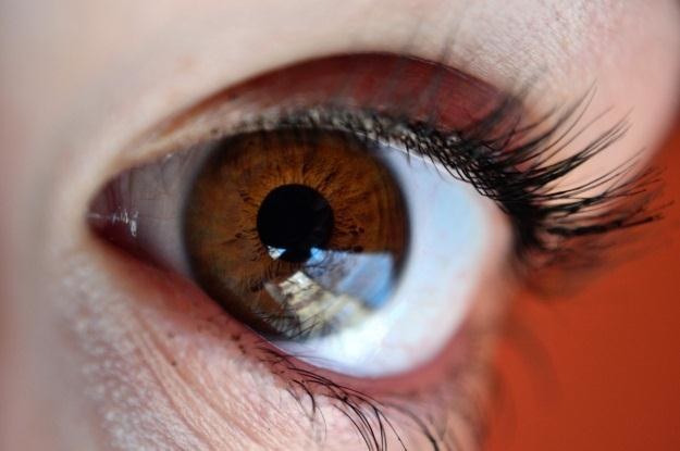 Dzięki nowym implantom niewidomi odzyskają wzrok (Fot. Mihai Tamasila) /stock.xchng