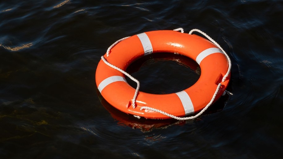 Dzięki szybkiej i zdecydowanej reakcji Holendra Eda van de Weerd, udało się uratować kobietę, która tonęła /Shutterstock