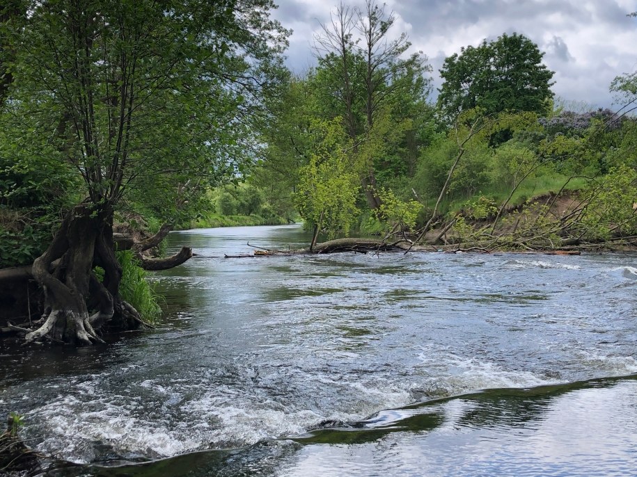 Dzięki temu odcinkowi rzeki w regionie rozwija się branża turystyczna /Mateusz Chłystun /RMF FM