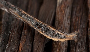 Dzięki tym ziarenkom przestaniesz jeść słodycze. Wzmocnisz serce i układ pokarmowy