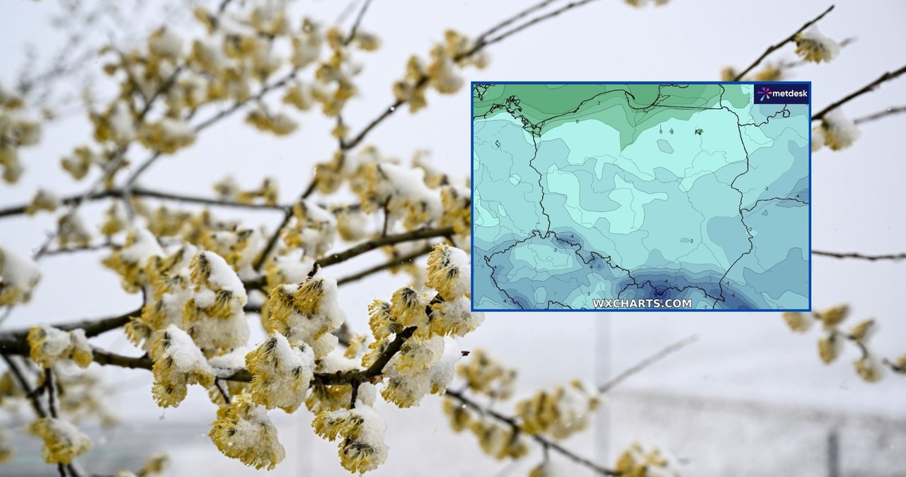 Dzięki wyżowi Konstantina wtorek będzie spokojny i słoneczny w większości Polski. Rano miejscami panował kilkunastostopniowy mróz /PAP/Darek Delmanowicz/WXCHARTS /
