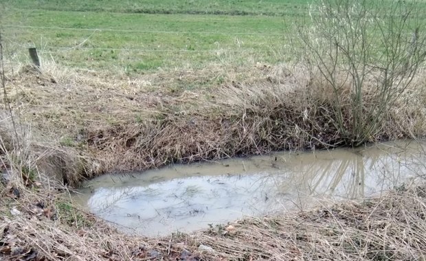 Dzielnicowy uratował 74-latka. Temperatura jego ciała spadła do 32 stopni