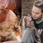 międzynarodowy dzień kota Dzień Kota 2022. Ci celebryci są kociarzami!