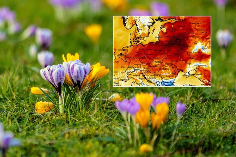 Dzień wypełniony wiosną. Noc zdecydowanie gorsza