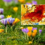 Dzień wypełniony wiosną. Noc zdecydowanie gorsza