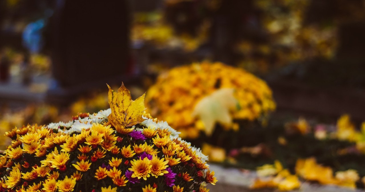 Dzień Zaduszny — kiedy go obchodzimy? Czego warto unikać tego dnia? /CanvaPro /Canva Pro