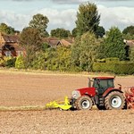 Dziennik państwowy o problemach białoruskiego rolnictwa