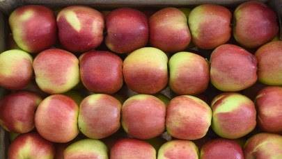 "Dziennik Polski": Skąd się wzięły kłopoty polskich jabłek? Sadownicy: To czarny PR