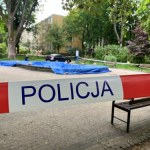 Dziesiątki martwych ptaków w fontannie. Akcja służb w Lublinie