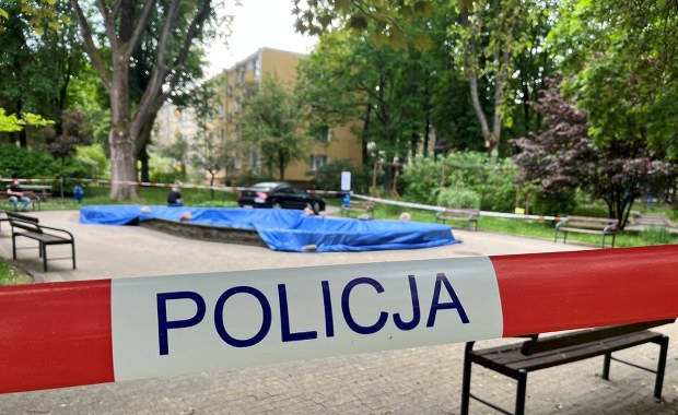 Dziesiątki martwych ptaków w fontannie. Akcja służb w Lublinie