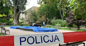 Dziesiątki martwych ptaków w fontannie. Akcja służb w Lublinie